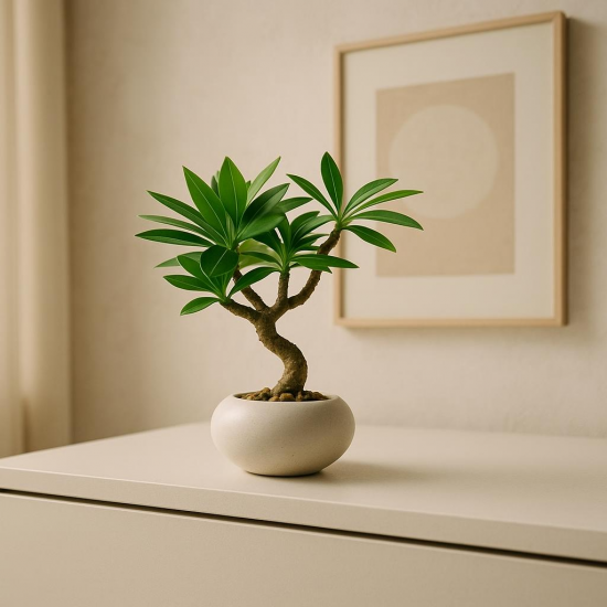 Artificial Plant